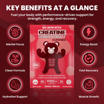 Big Bear Bites Creatine Monohydrate Gummies – Watermelon, 5000mg/Serving | 90 Gummies | Sugar & Gluten Free | Halal