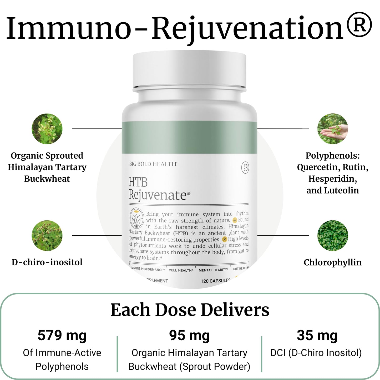 BIG BOLD HEALTH HTB Immune Rejuvenate – Polyphenol Immune Support with Himalayan Tartary Buckwheat, 120 Vegetarian Capsules