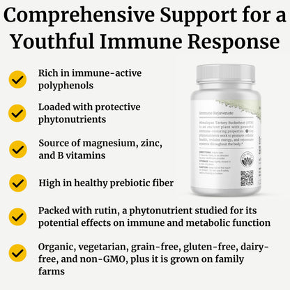 BIG BOLD HEALTH HTB Immune Rejuvenate – Polyphenol Immune Support with Himalayan Tartary Buckwheat, 120 Vegetarian Capsules