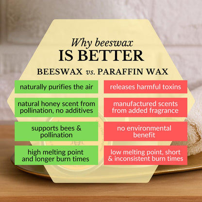 Big Dipper Wax Works Beeswax Aromatherapy Tin: Radiance with Tangerine & Ylang Ylang