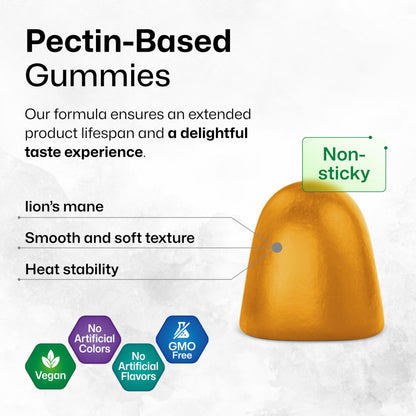 BIO KRAUTER Lions Mane Gummies for Adults - 1000 mg - Vegan, Gelatine-Free (Pack of 2)