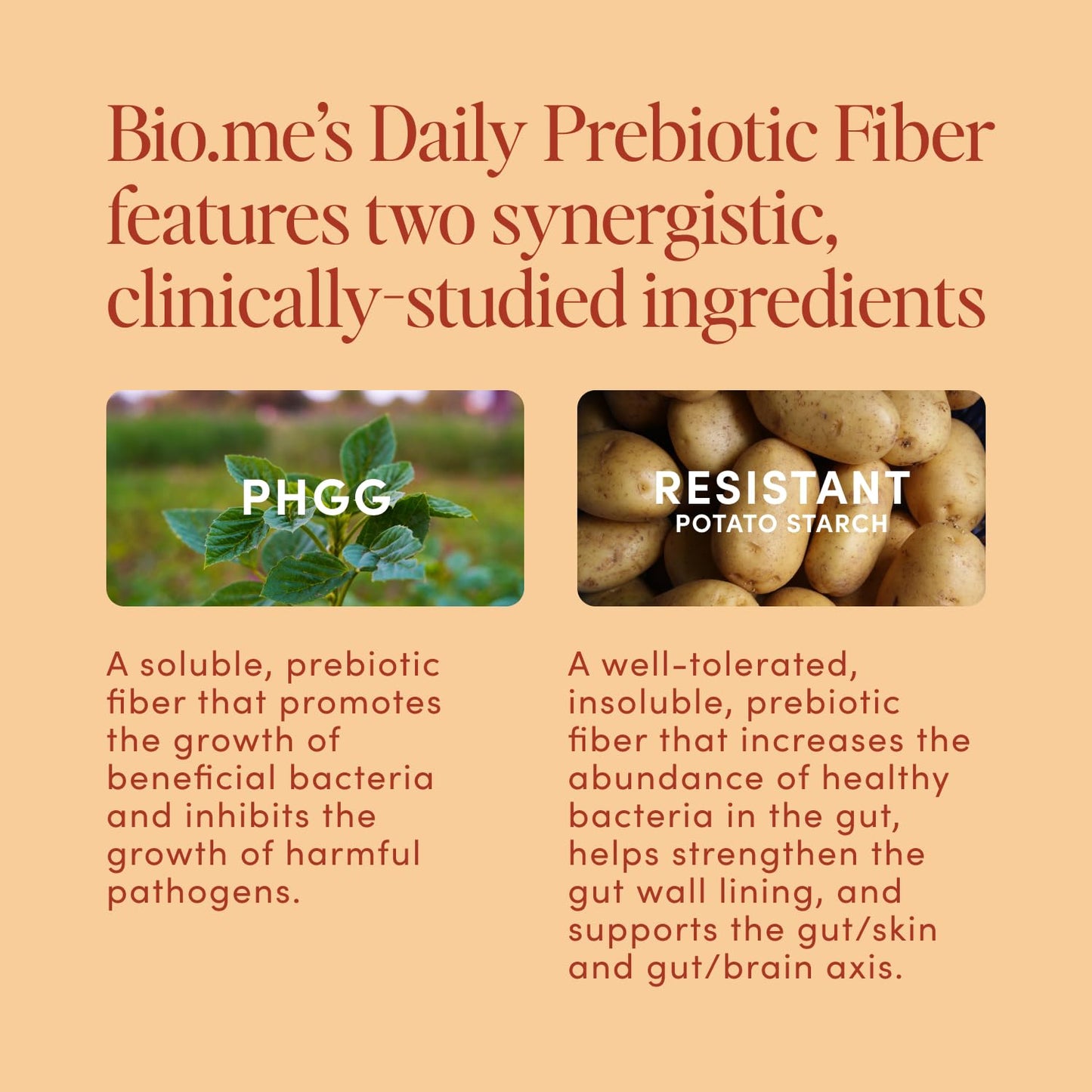 Bio.me Daily Prebiotic Fiber Powder – Chai, 7g per Serving | Digestive & Gut Health