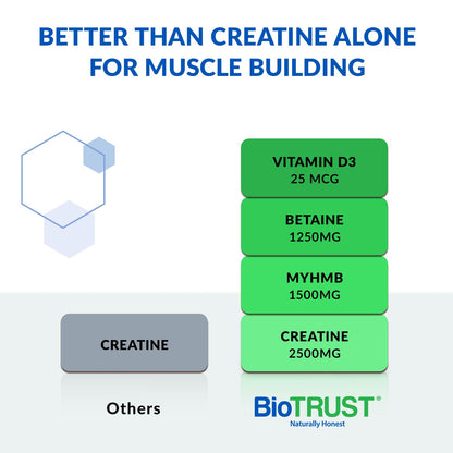 BioTrust Ageless Muscle Builder – Creatine HMB Powder with Vitamin D3 & Betaine | Citrus Splash