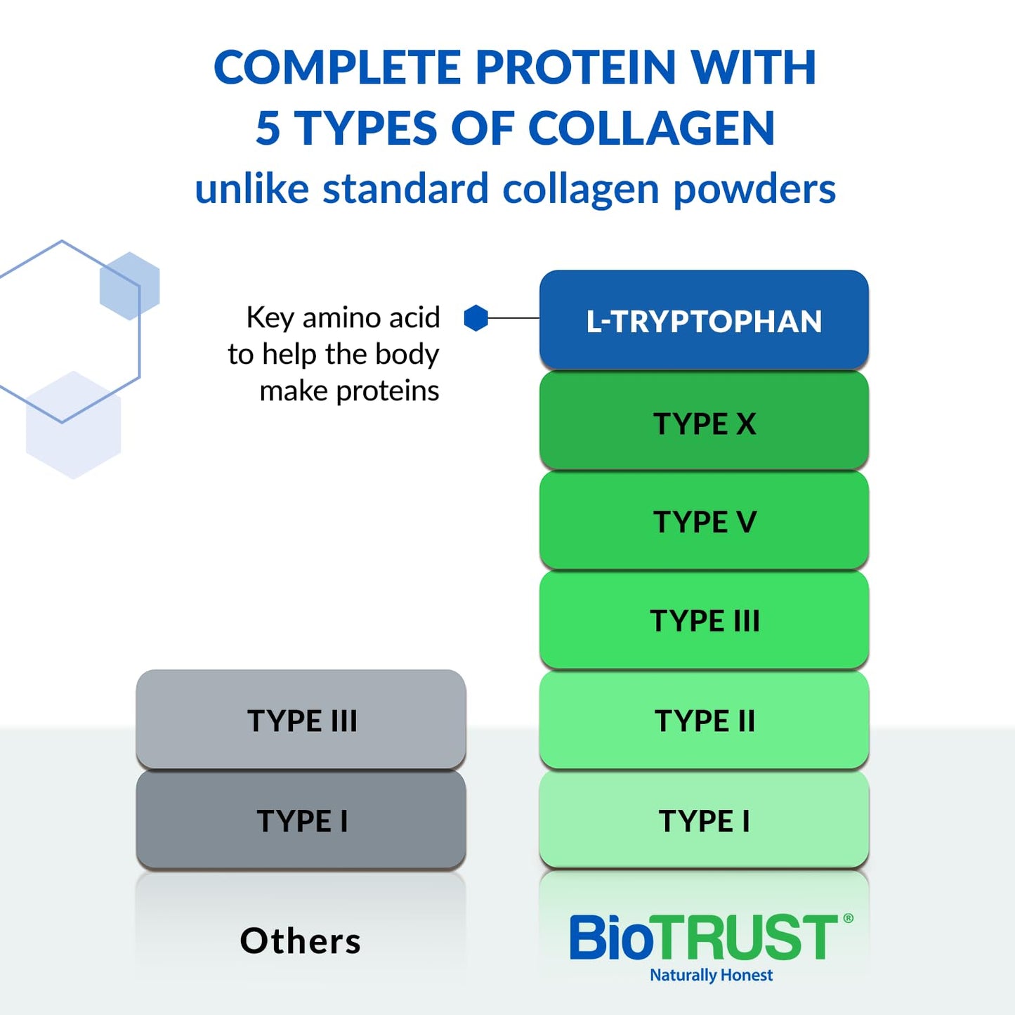BioTrust Ageless Multi Collagen Peptides Powder – 5 Types I II III V X – Chocolate