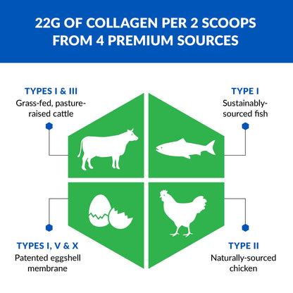 BioTrust Ageless Multi Collagen Peptides Powder – 5 Types I II III V X – Chocolate