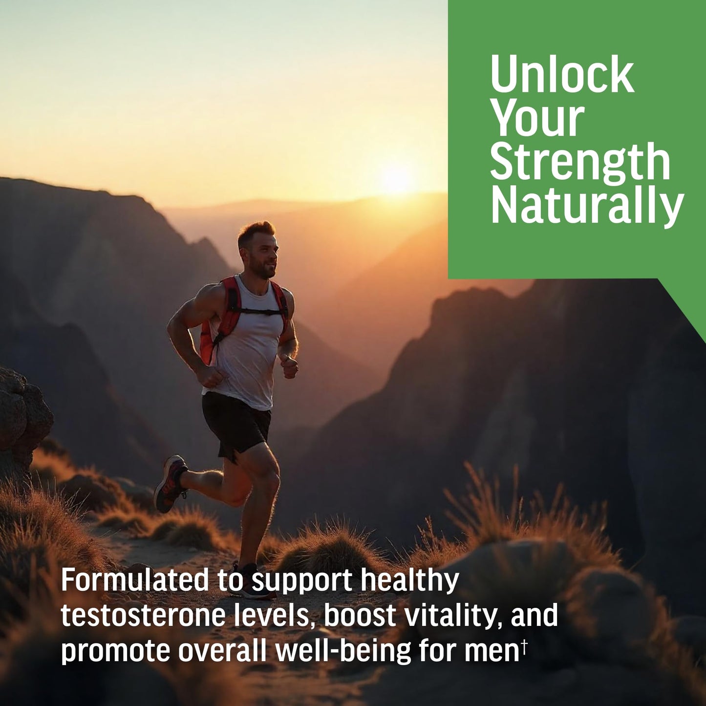 BIOACTIVE Liquid Ashwagandha Drops - Testosterone Support for Men