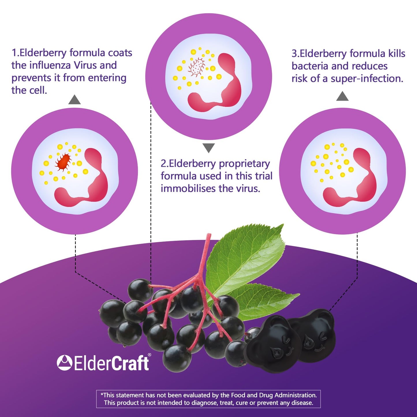 Biobor Natural Black Elderberry Gummies 150mg – ElderCraft® Immune Support with Vitamin C & Zinc (60 Count)