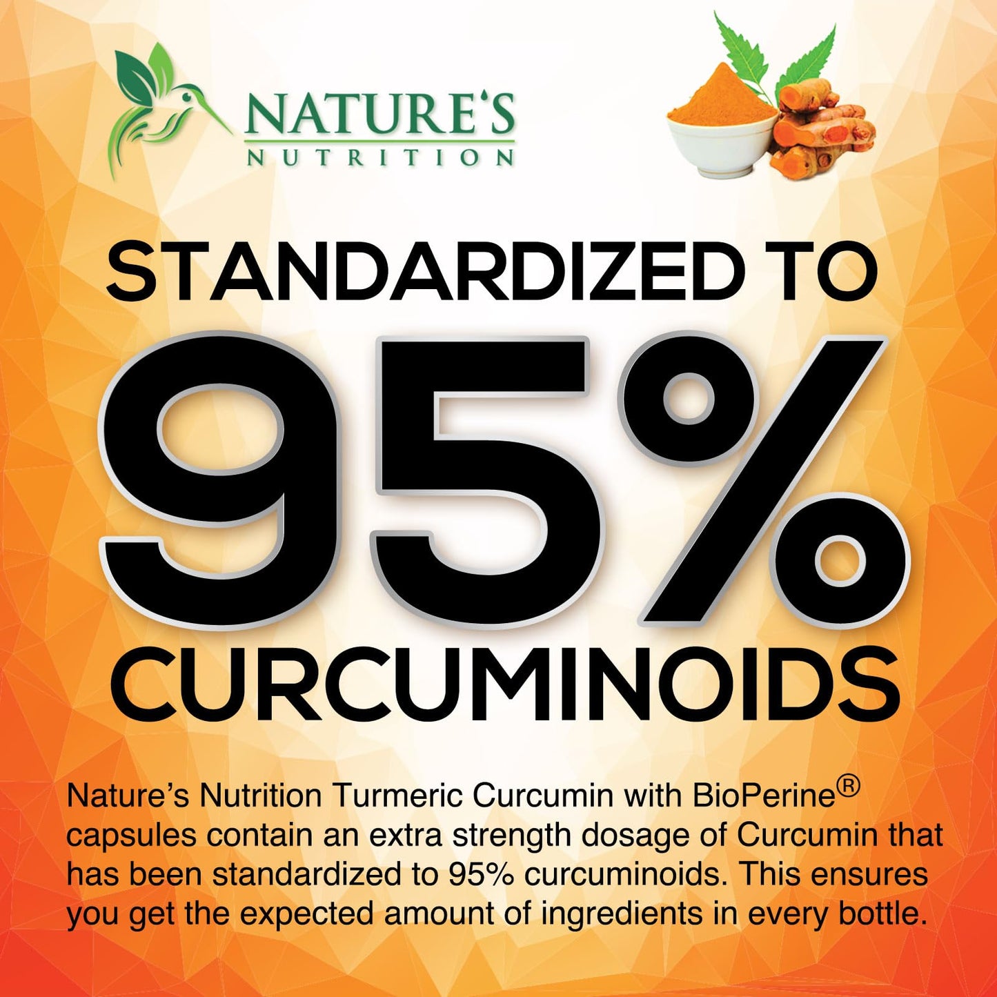 Turmeric Curcumin 1950mg with Bioperine – 95% Curcuminoids, 240 Vegan Capsules, Made in USA