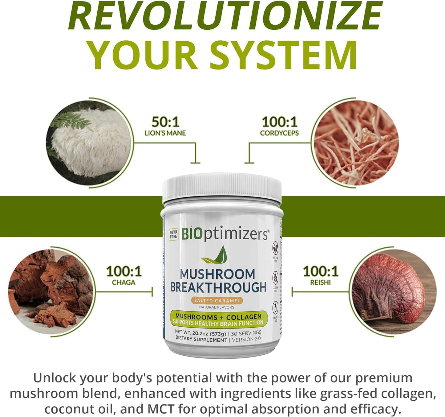 BIOptimizers Mushroom Coffee Alternative – Salted Caramel with Lion's Mane, Chaga, Reishi + Collagen & MCT (15 Servings)
