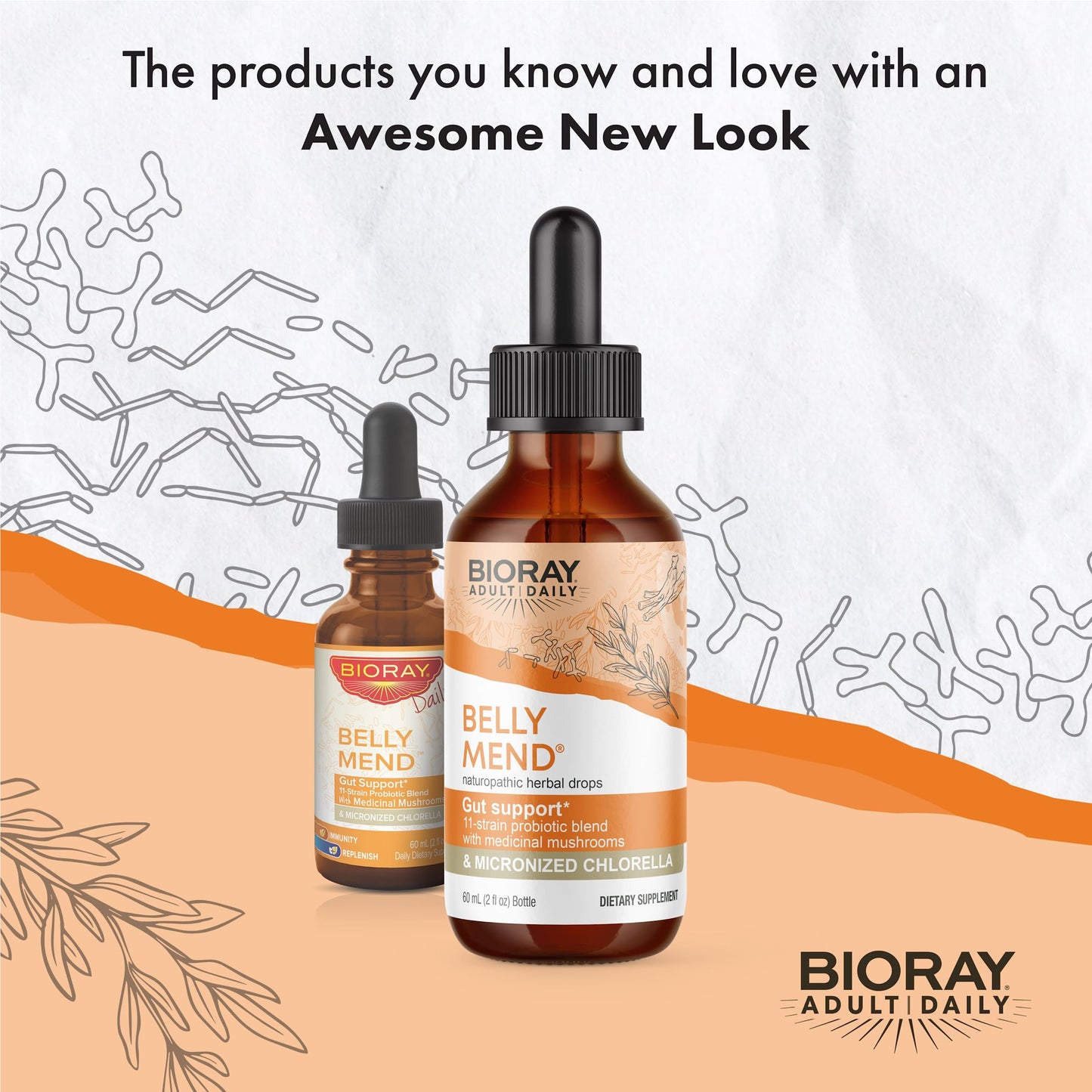 BIORAY Daily Belly Mend - 2 fl oz | 11-Strain Probiotic + Medicinal Mushrooms
