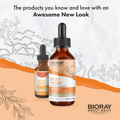 BIORAY Daily Belly Mend - 2 fl oz | 11-Strain Probiotic + Medicinal Mushrooms