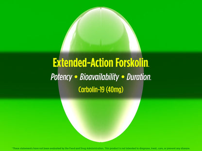 Biotest Carbolin 19 – Long-Lasting Forskolin for Fat Metabolism & Performance, 60 Softgels