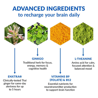 BioTrust Brain Bright – Daily Nootropic Boost for Focus, Concentration, Mental Clarity – Caffeine Free Nootropics Brain Support Supplement – Thai Ginger, Ginkgo, Folate, L-Theanine – 30 Servings
