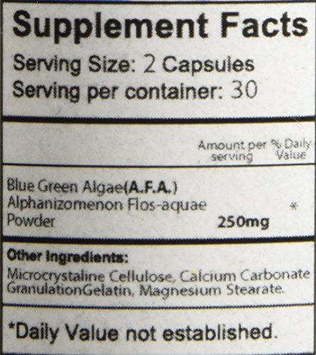 Bioxtron Natural Stem Cell Supplement Chewables – Spirulina, Chlorella, AFA | Energy, Immune & Joint Support | 60 Tablets (30 Servings)