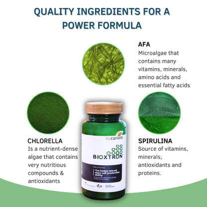 Bioxtron Natural Stem Cell Supplement Chewables – Spirulina, Chlorella, AFA | Energy, Immune & Joint Support | 60 Tablets (30 Servings)