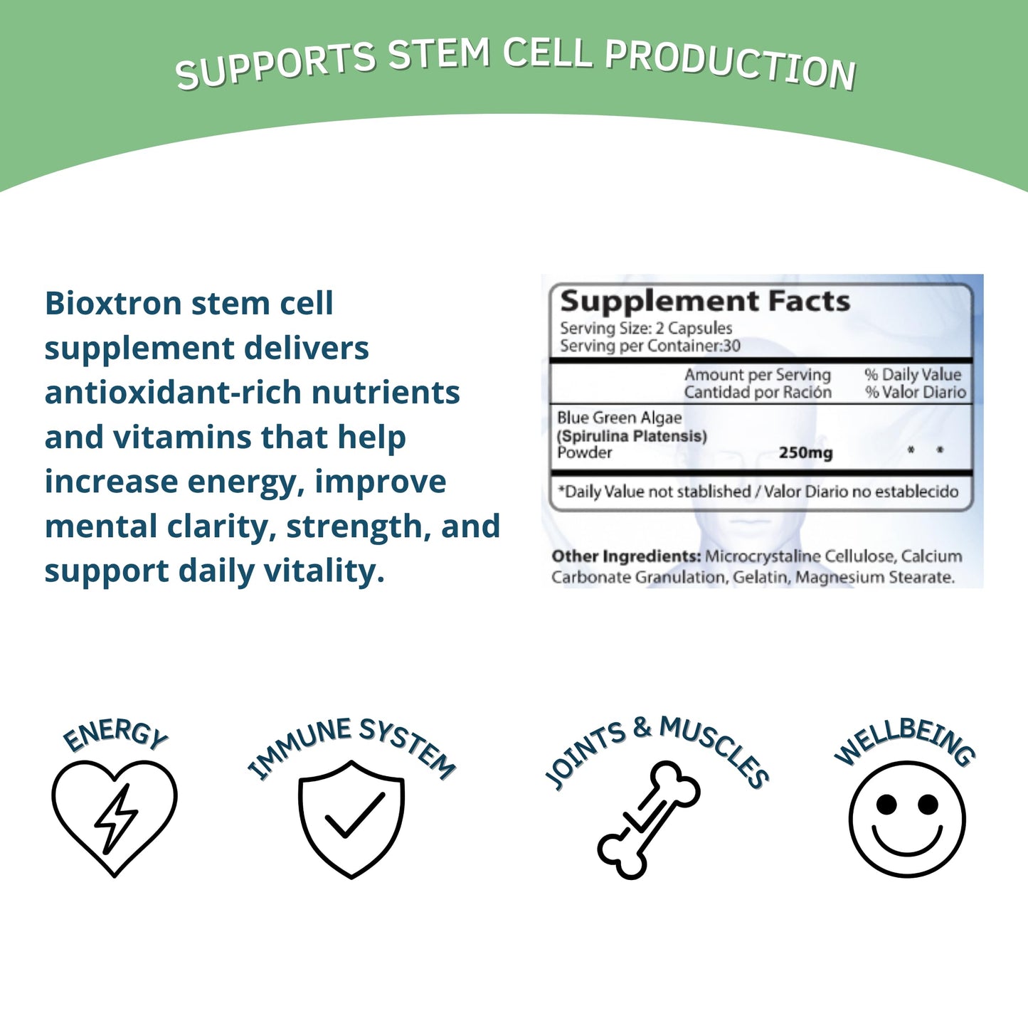 Bioxtron Natural Stem Cell Supplement Capsules - Blue Green Algae & Spirulina | 60 Capsules