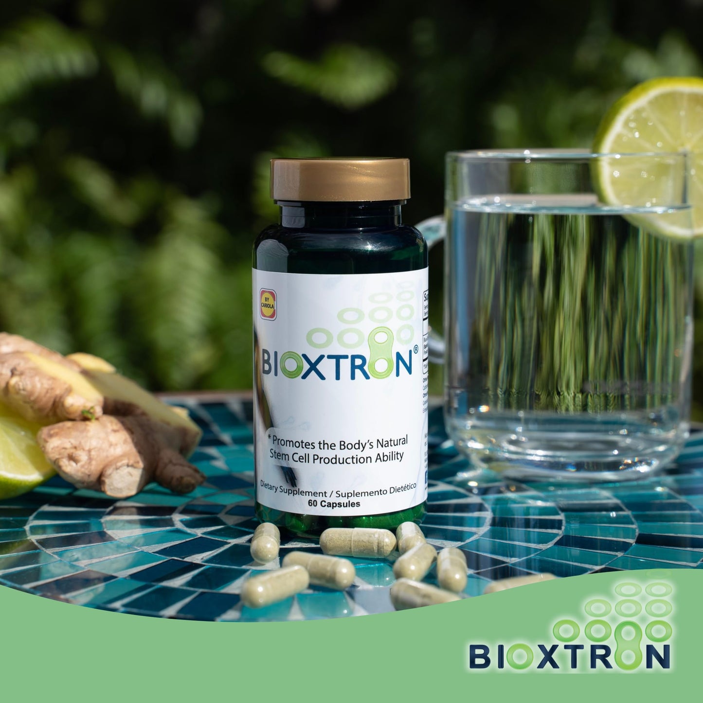 Bioxtron Natural Stem Cell Supplement Capsules - Blue Green Algae & Spirulina | 60 Capsules