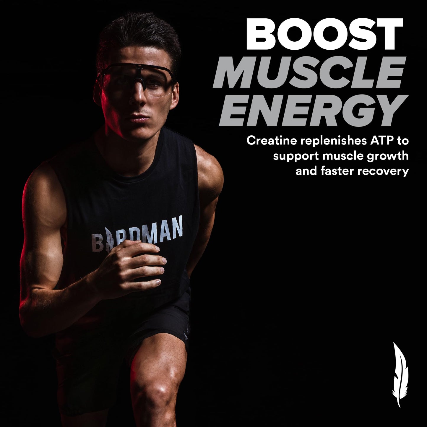BIRDMAN Micronized Creatine Monohydrate Powder – 80 Servings (5g) | Vegan, Gluten Free, Sugar Free | 0.8 lb