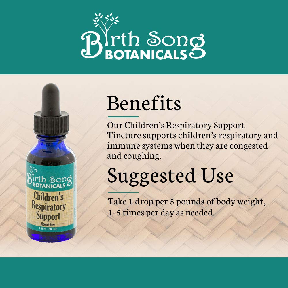 Birth Song Botanicals Children's Respiratory Support Tincture with Elderberry | Immune Support for Kids 1oz