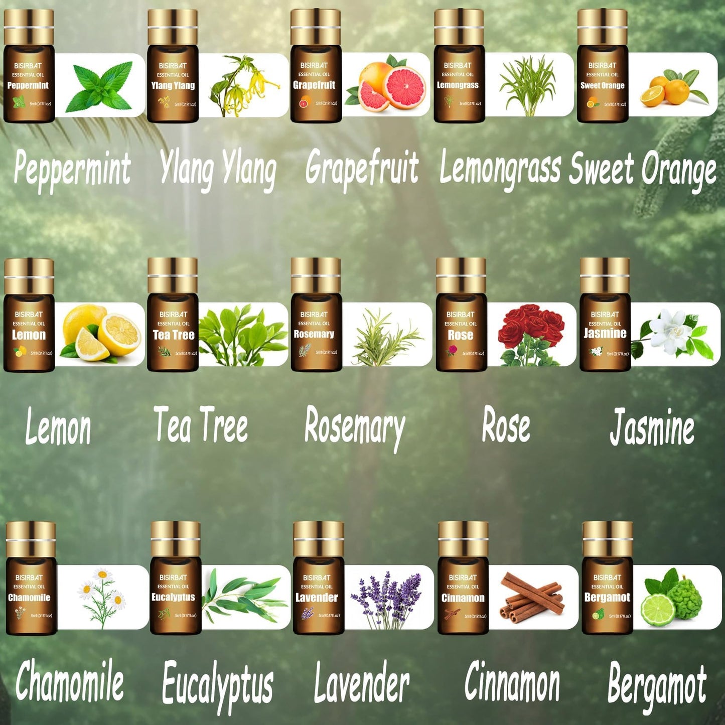 BISIRBAT 15-Pcs Essential Oil Set for Diffusers - 15 x 5ml | Aromatherapy