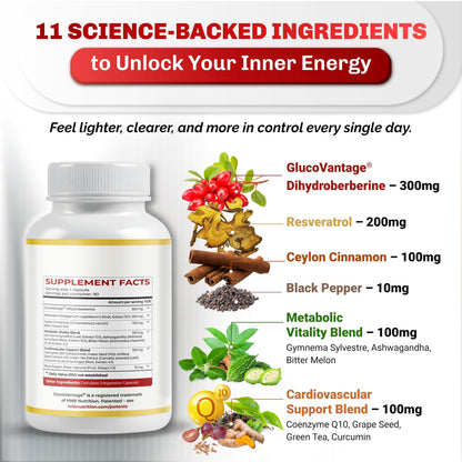 Dihydroberberine – Super Berberine 810mg with GlucoVantage | 5X Absorption | Made in USA | 90 Count