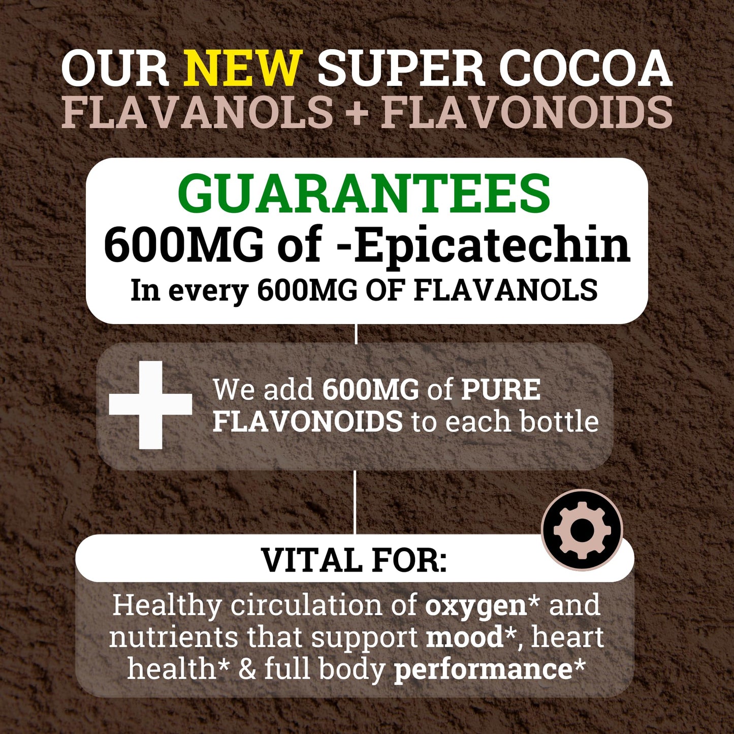 Black Forest High Flavanol Cocoa Powder — 1200mg Flavanols & 600mg Epicatechin