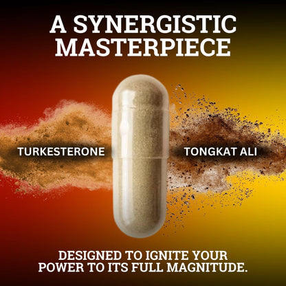 Black Forest Turkesterone Tongkat Ali Supplement 1000mg per Serving | Strength & Energy for Men
