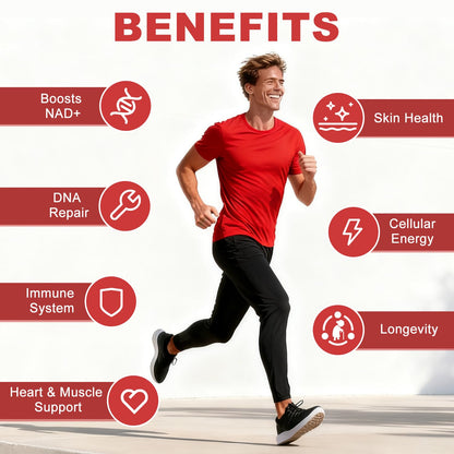 ALLBIZ NAD+ Liquid Supplement – Boost NAD+ Levels as We Age | 30 Packets