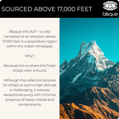 Blisque Shilajit Resin - Organic Himalayan Supplement for Women’s Health | 60g