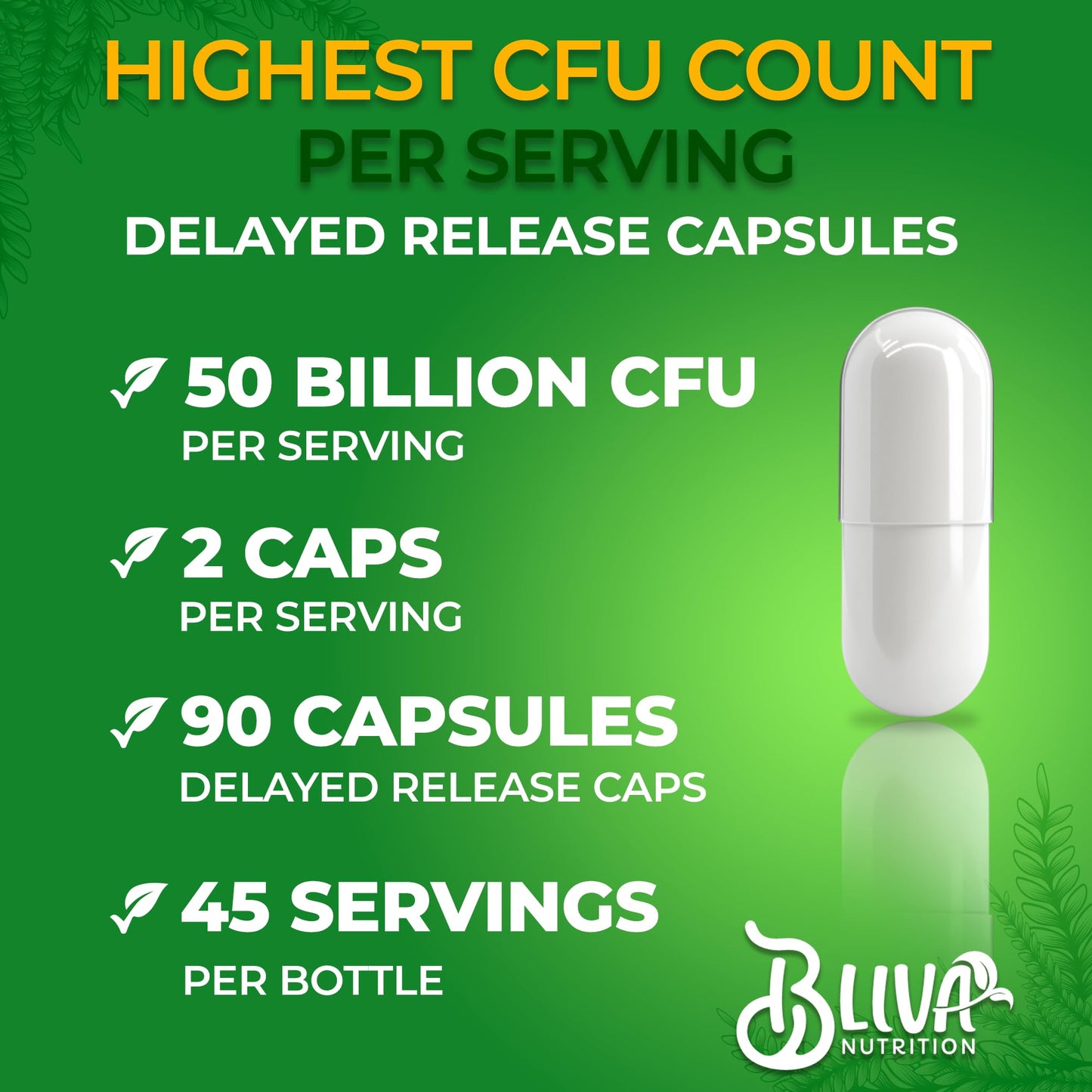 BLIVA Lactobacillus Reuteri Capsules – 50B CFU per Serving, 90 Caps
