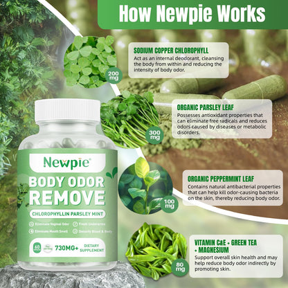 Blltzzz Body Deodorizing Supplement | Chlorophyll Capsules for Body Odor, Fresh Breath & Gut Odor Control – Vegan, Gluten Free, 60 Capsules (2)