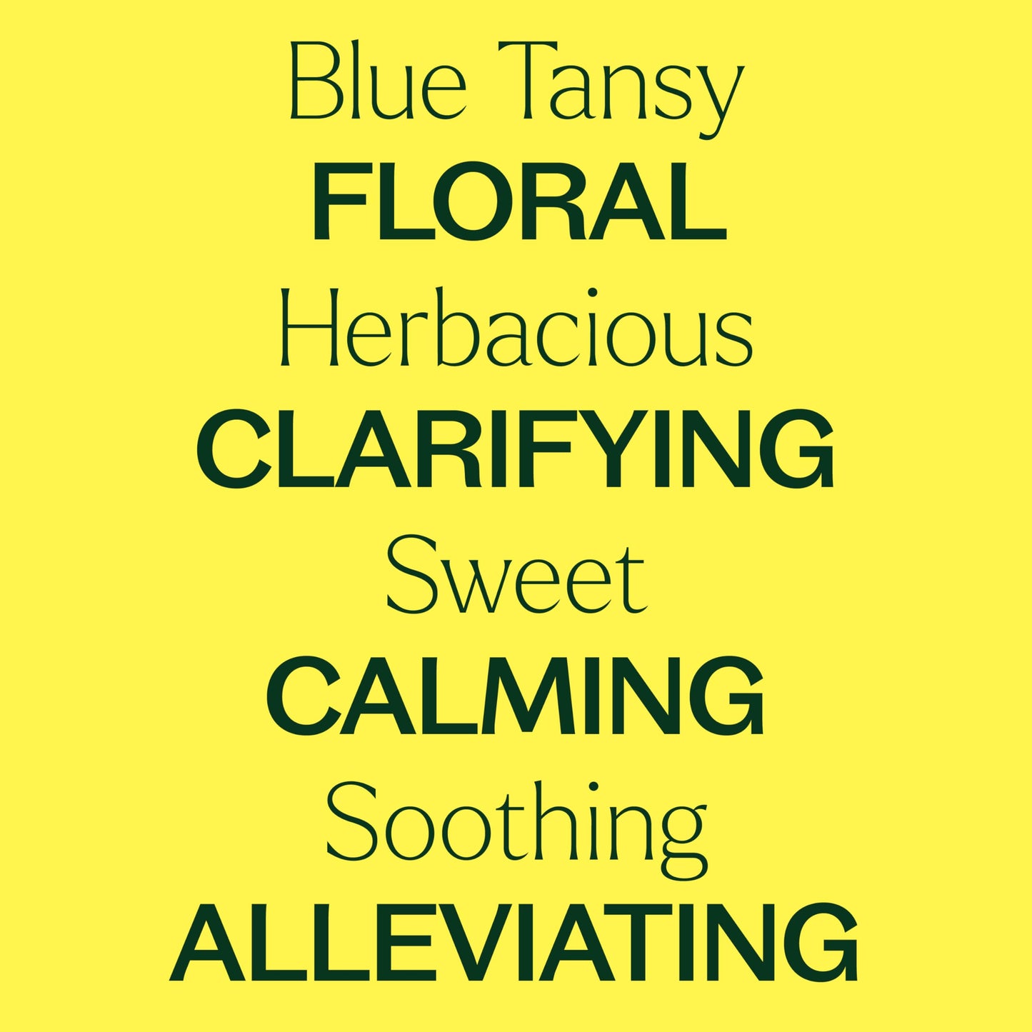 Plant Therapy Blue Tansy Essential Oil 5 mL (1/6 oz) | 100% Pure & Undiluted