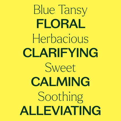 Plant Therapy Blue Tansy Essential Oil 5 mL (1/6 oz) | 100% Pure & Undiluted