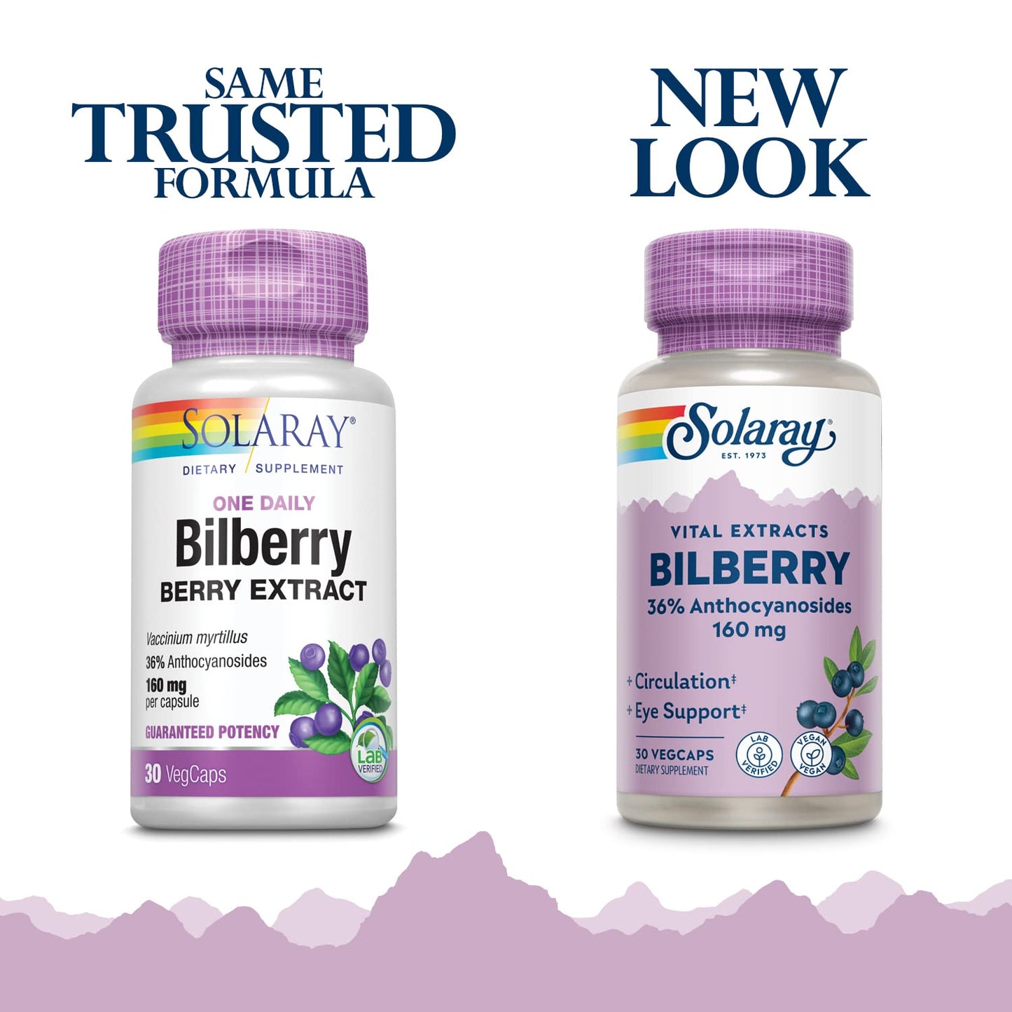 SOLARAY Bilberry Extract 160 mg – Eye Health & Circulation Support | 36% Anthocyanosides | Vegan