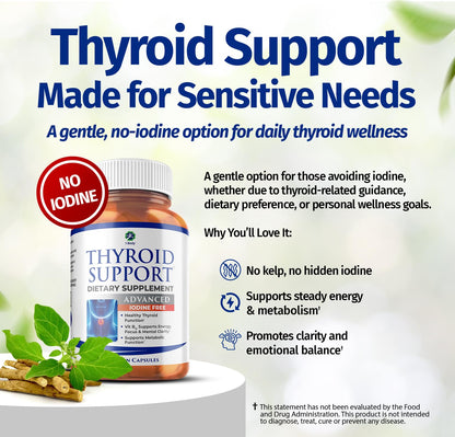 1 Body Thyroid Support Iodine-Free Supplement (60 Count) - Pack of 1