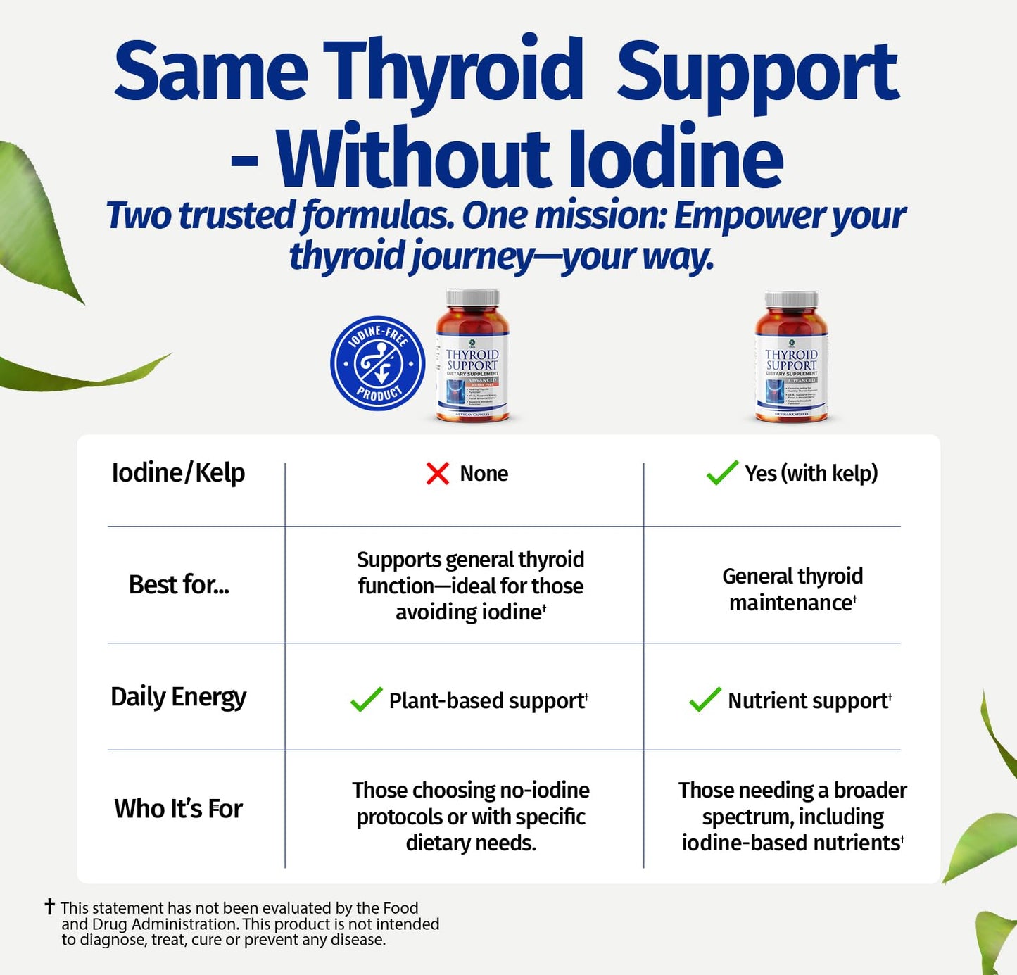 1 Body Thyroid Support Iodine-Free Supplement (60 Count) - Pack of 1