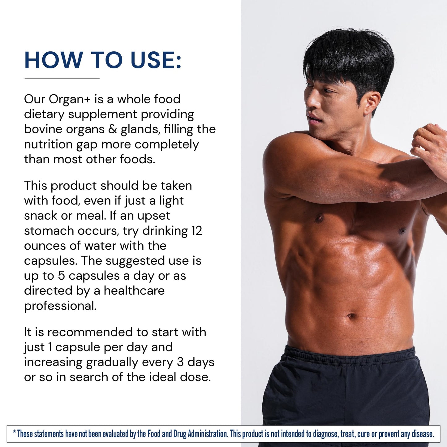 BodyHealth Organ+ Grass-Fed Glandular Complex – Grass-Fed Beef Organ Supplement (150 Capsules)