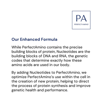 BodyHealth PerfectAmino – Easy to Swallow Tablets | Essential Amino Acids + BCAAs, Vegan Protein (36 Servings)