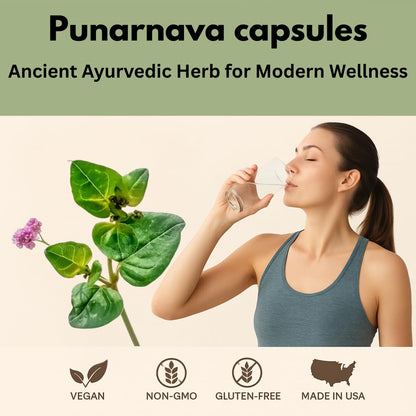 Morsan Healthcare Punarnava Capsules 500mg – 60 Veg Capulses | Kidney & Liver Support