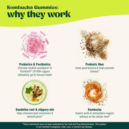 BoochBod Probiotic Kombucha Gummies – Gut Health, Prebiotics & Probiotics