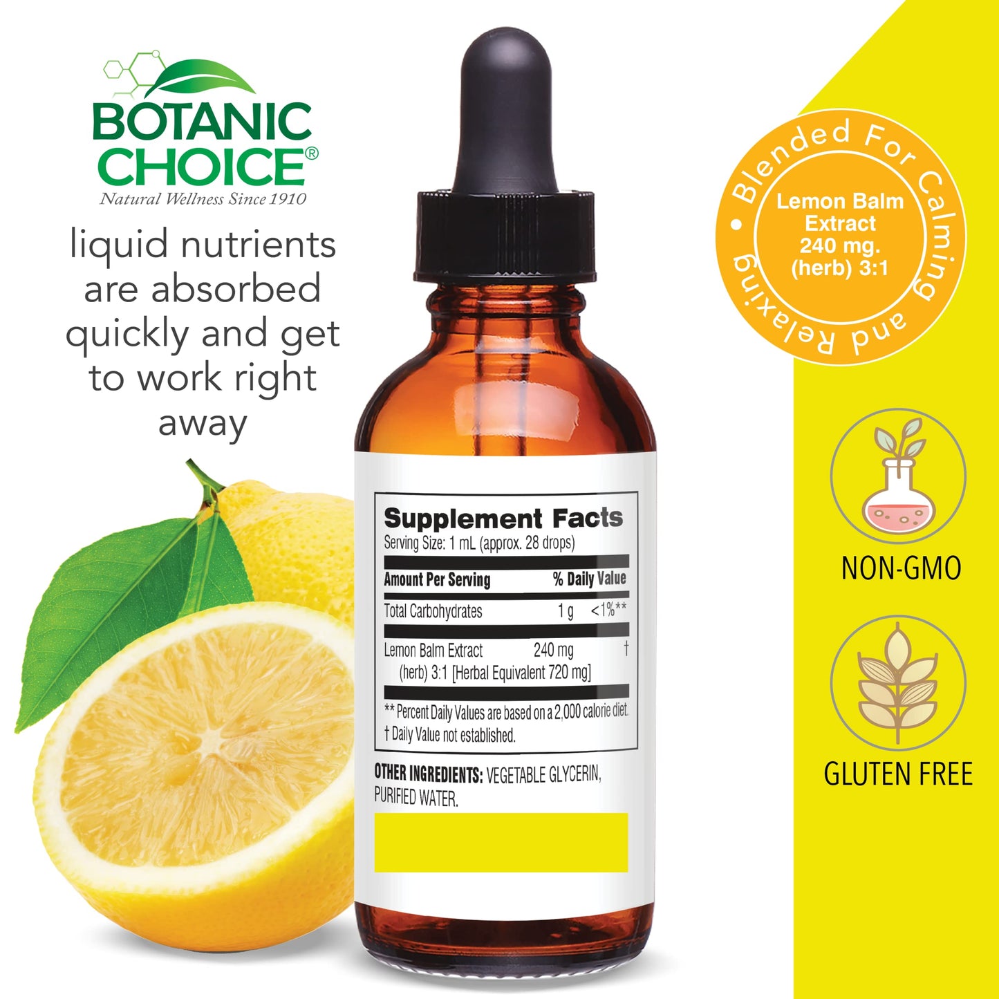 Botanic Choice Lemon Balm Liquid Extract - Alcohol Free & Gluten Free | 1 oz