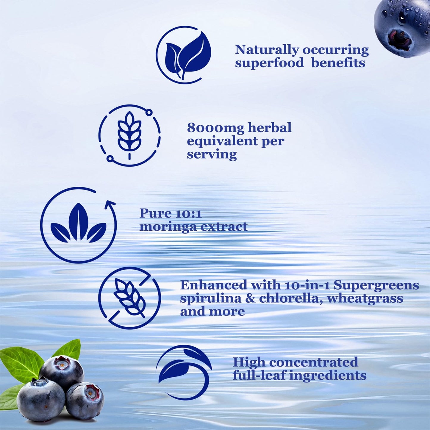 Raw Moringa Liquid Drops 8000 mg – Organic Moringa Oleifera + Supergreens 60ml