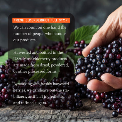 Dr. Appleseed's Organic Elderberry Syrup Max Strength 28,000mg – 8 Fl Oz (48 Day Supply)