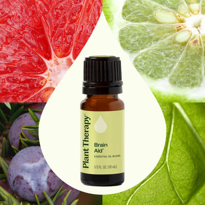 Brain Aid Essential Oil Blend for Focus & Attention – Plant Therapy 10 mL