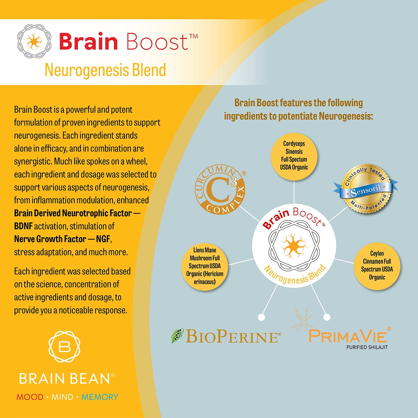 Brain Bean Brain-Boost (Formerly Brain Boost) - Mood, Mind & Memory Support