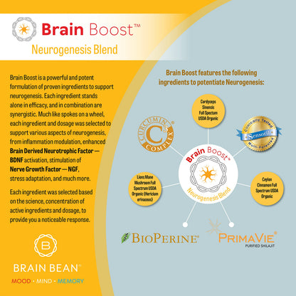 Brain Bean Brain-Boost (Formerly Brain Boost) - Mood, Mind & Memory Support