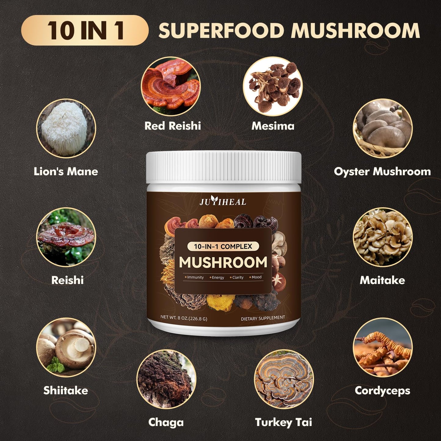 10-in-1 Mushroom Powder Complex – Lions Mane, Reishi, Chaga, Turkey Tail | 8oz
