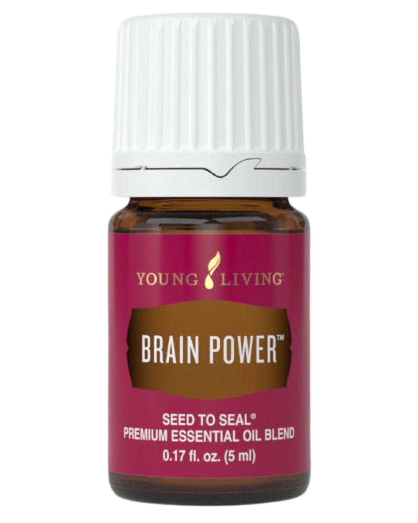 Brain Power 5ml Essential Oil by Young Living Essential Oils