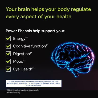 Gundry MD Power Phenols – Brain Health Supplement for Focus, Motivation, and Energy (30 Servings)