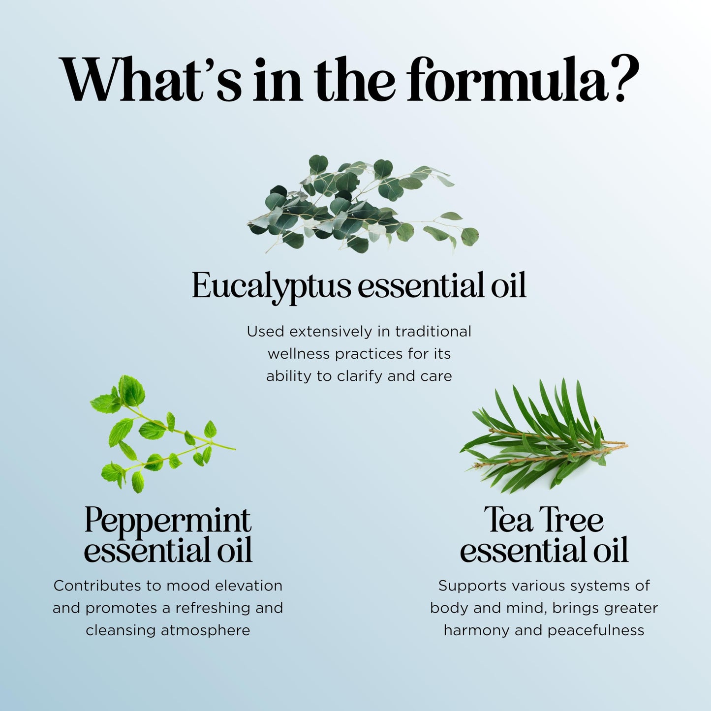 Breathe Essential Oil for Diffuser - Invigorating Eucalyptus & Peppermint (2 oz)